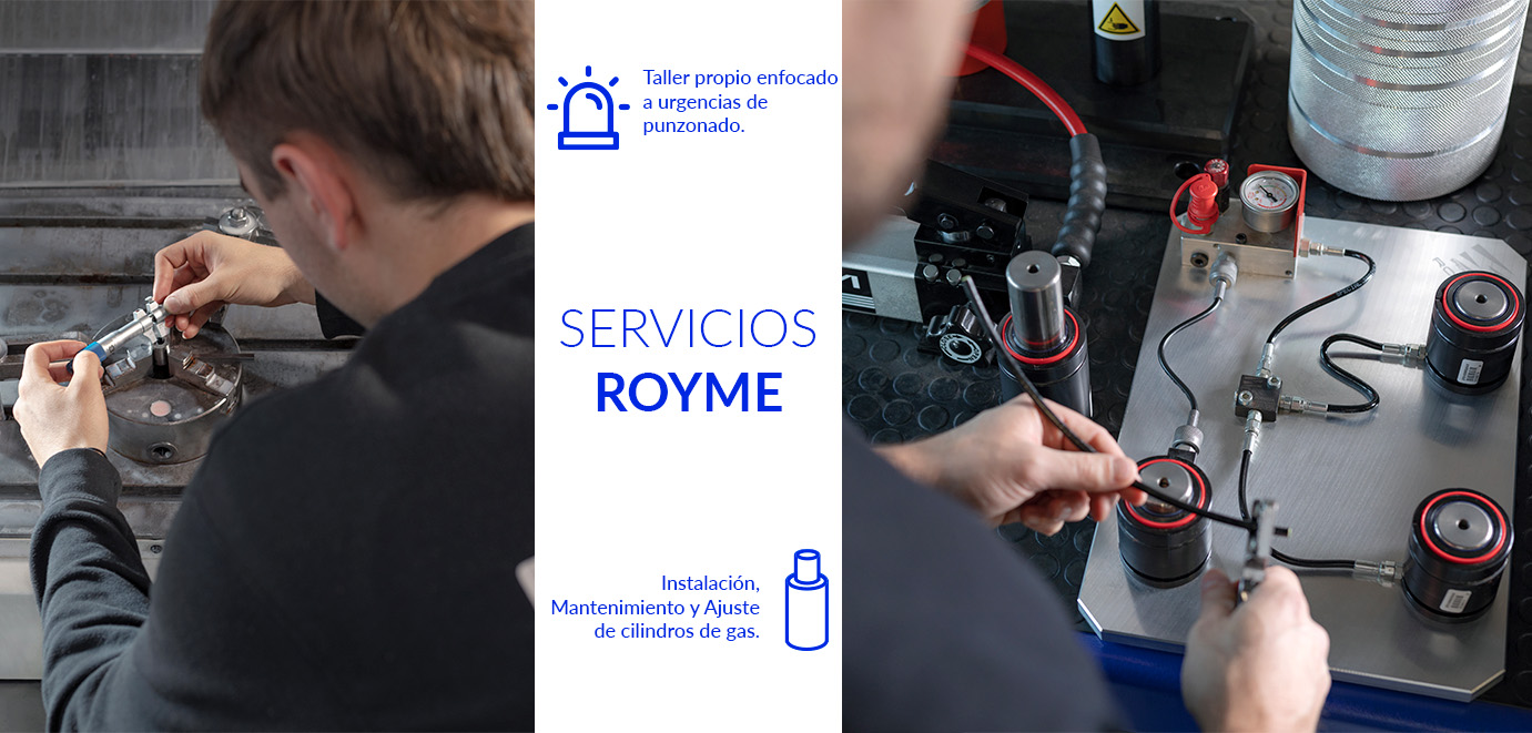 Royme: Servicio y Soluciones a Medida en el sector de la Matricería y el Molde